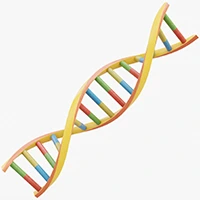 WES Whole Exome Sequencing